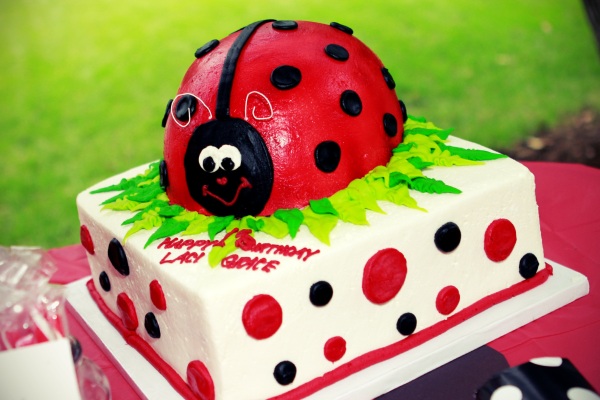 Lady Bug Birthday Cake