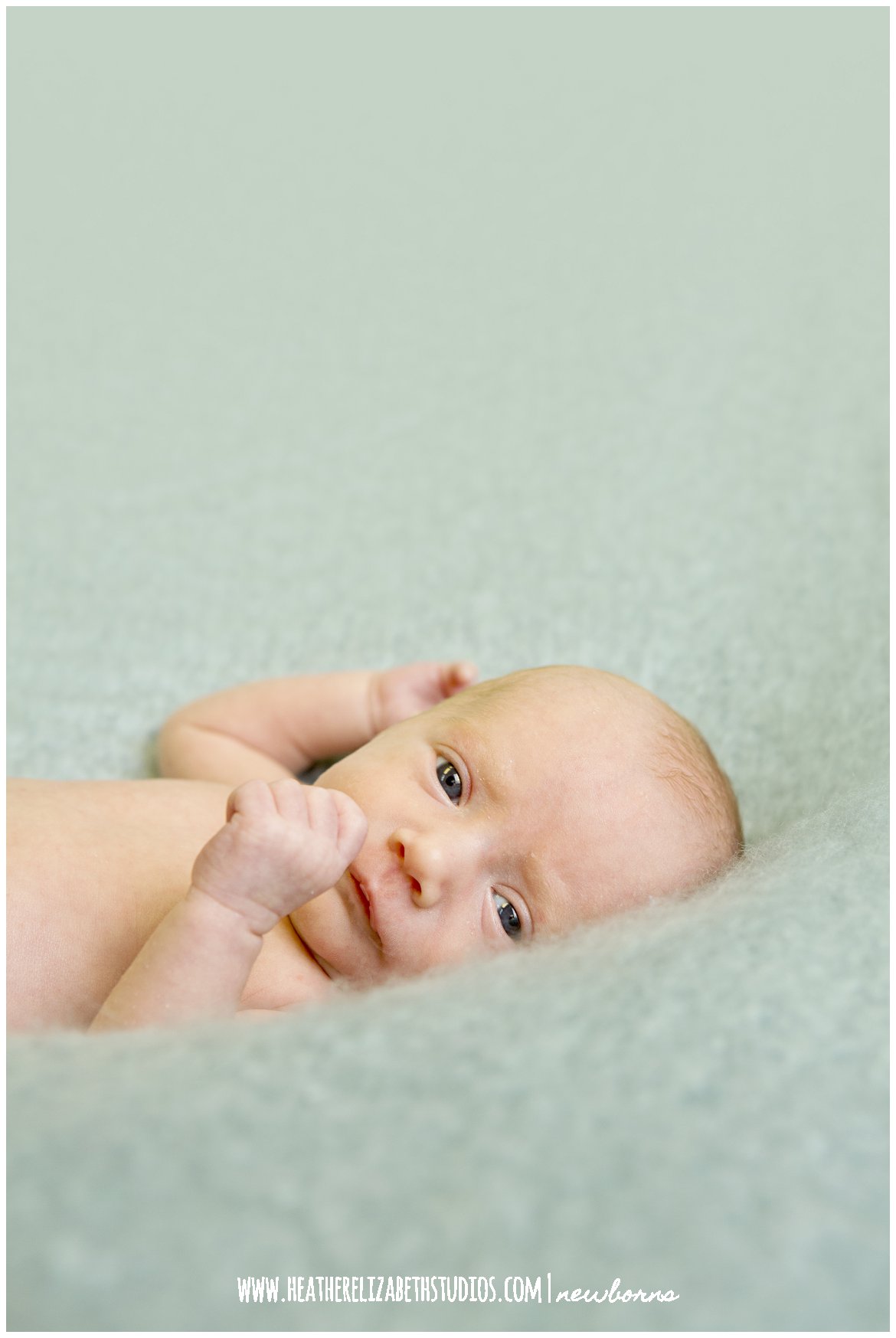 BlakeNewborn 311.jpg
