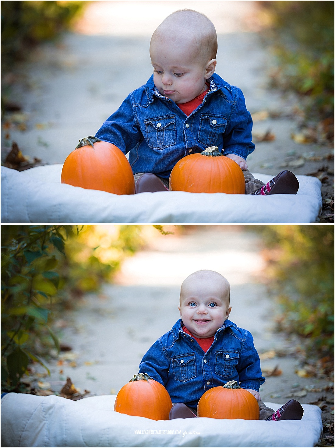 FallMiniSessions 324_WEB.jpg