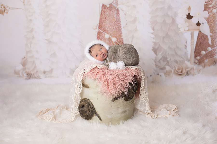 Newborn baby portrait in Cincinnati, Ohio