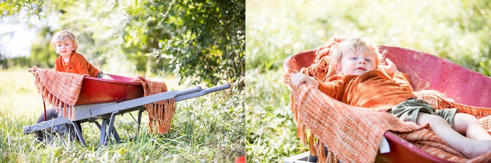 fall session collage by heather elizabeth studios